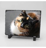 Rechthoekige Gedenktegel liggend van Leisteen voor Huisdieren – Herinner je Huisdier met Foto en Tekst