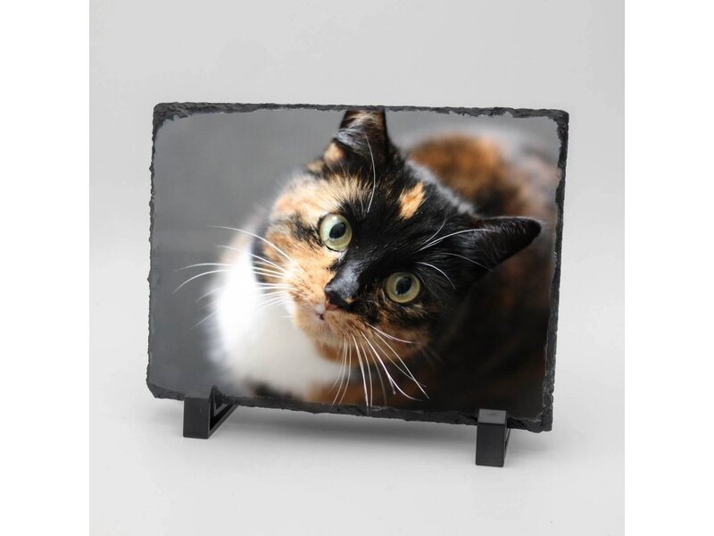 Rechthoekige Gedenktegel liggend van Leisteen voor Huisdieren – Herinner je Huisdier met Foto en Tekst