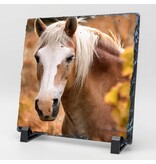 Vierkante Gedenktegel van Leisteen voor Huisdieren – Herinner je Huisdier met Foto en Tekst