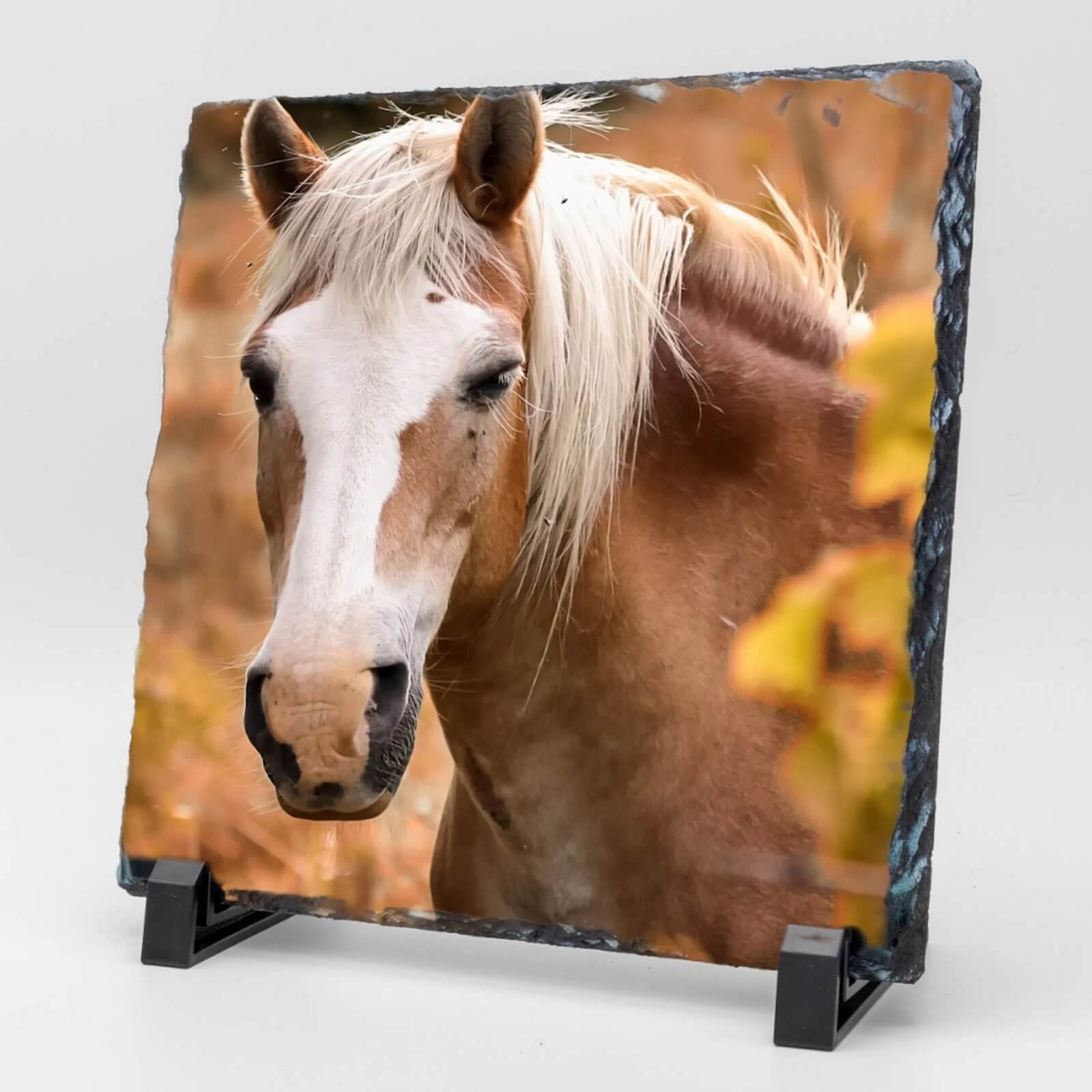  Vierkante Gedenktegel van Leisteen voor Huisdieren – Herinner je Huisdier met Foto en Tekst