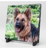 Vierkante Gedenktegel van Leisteen voor Huisdieren – Herinner je Huisdier met Foto en Tekst