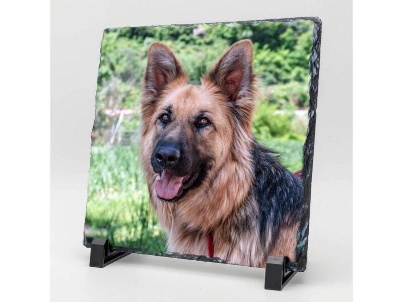 Vierkante Gedenktegel van Leisteen voor Huisdieren – Herinner je Huisdier met Foto en Tekst