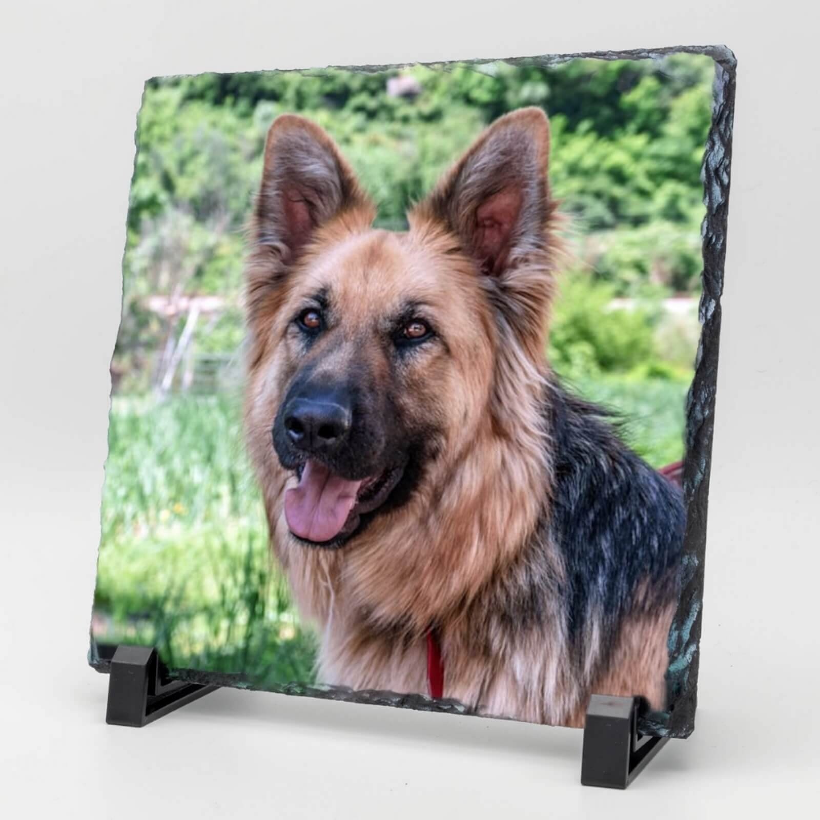  Vierkante Gedenktegel van Leisteen voor Huisdieren – Herinner je Huisdier met Foto en Tekst