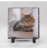 Vierkante Gedenktegel van Leisteen voor Huisdieren – Herinner je Huisdier met Foto en Tekst