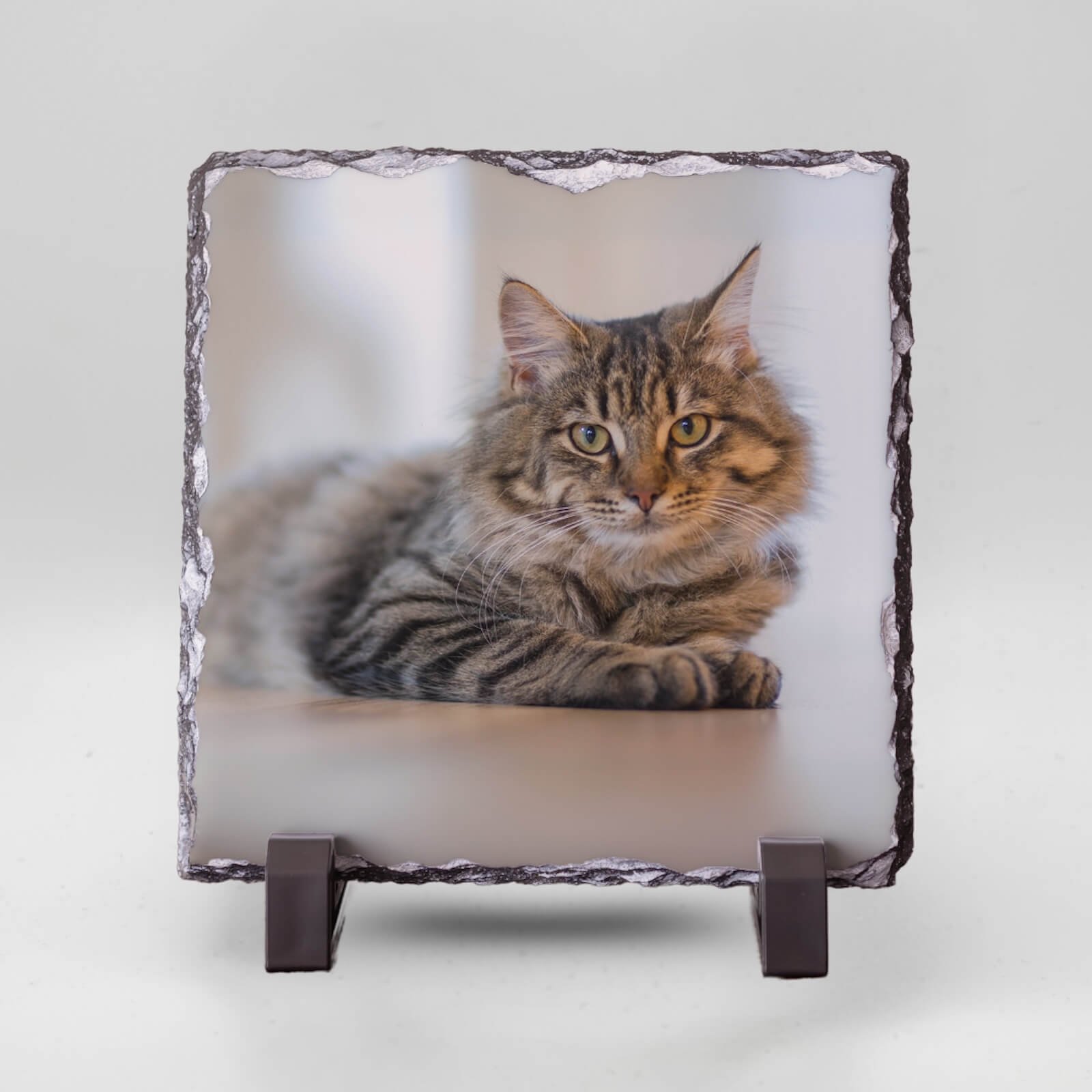  Vierkante Gedenktegel van Leisteen voor Huisdieren – Herinner je Huisdier met Foto en Tekst