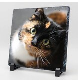 Vierkante Gedenktegel van Leisteen voor Huisdieren – Herinner je Huisdier met Foto en Tekst