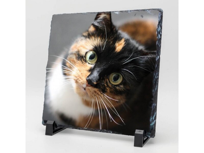 Vierkante Gedenktegel van Leisteen voor Huisdieren – Herinner je Huisdier met Foto en Tekst