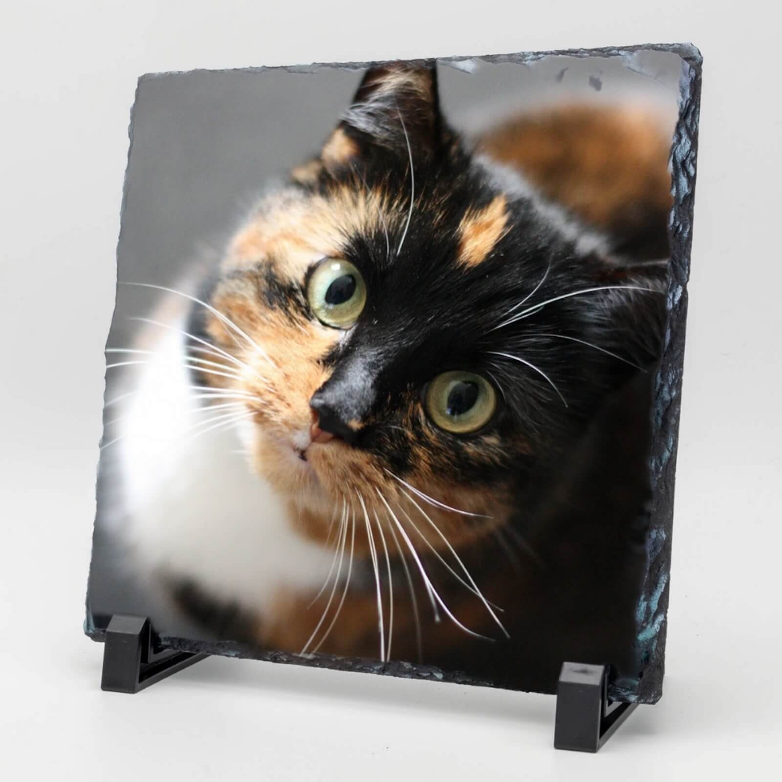  Vierkante Gedenktegel van Leisteen voor Huisdieren – Herinner je Huisdier met Foto en Tekst