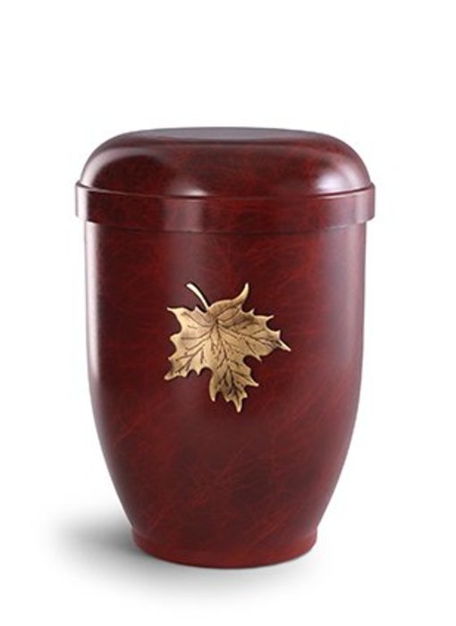Esdoorn urn - bio