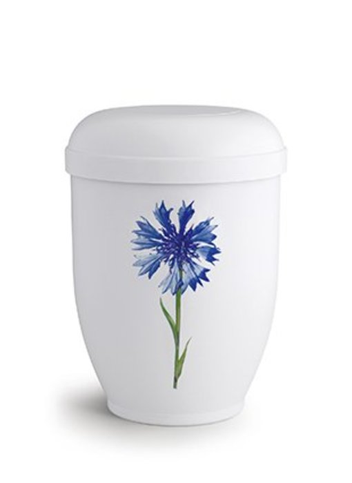 Korenbloem urn - bio