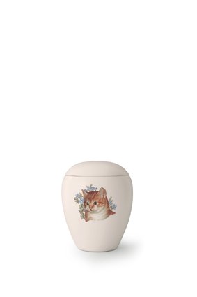  Kattenurn Misha - keramiek