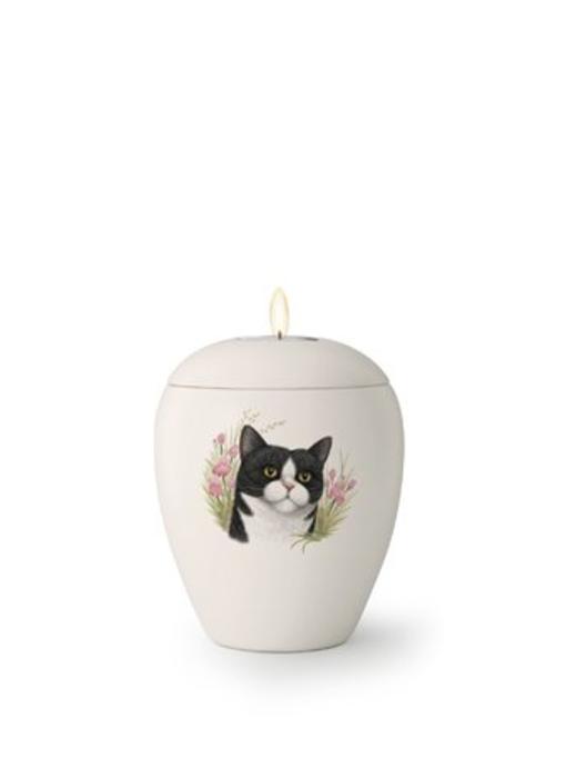 Kattenurn Witneus met lichtje - keramiek
