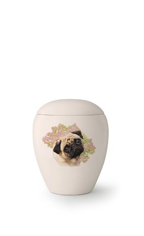  Hondenurn Mopshond - keramiek
