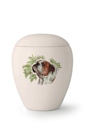  Hondenurn Bulldog - keramiek