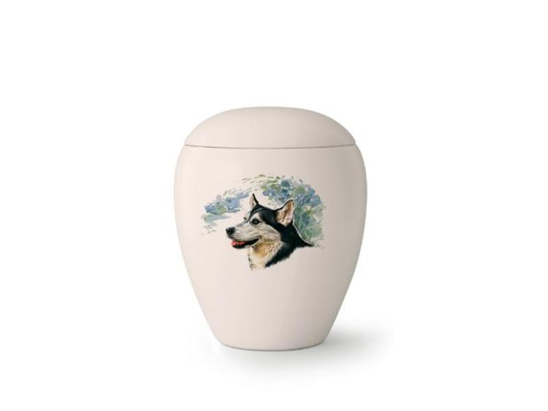 Dierenurn Border Collie - keramiek