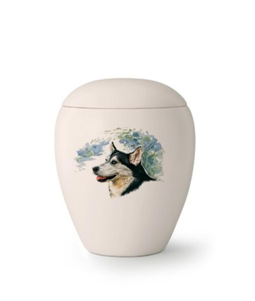 Dierenurn Border Collie - keramiek