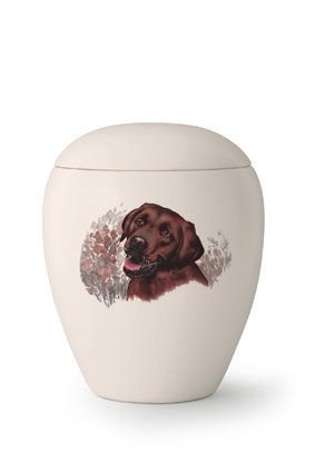  Hondenurn Bruine Labrador - keramiek