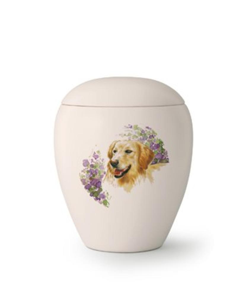 Hondenrun Golden Retriever - keramiek