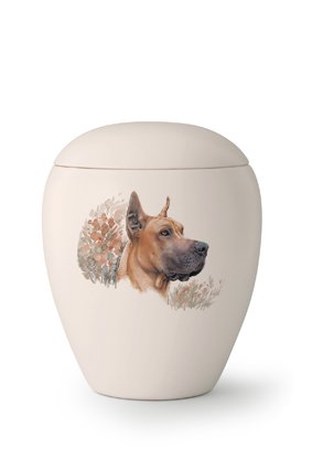 Hondenurn Deense Dog - keramiek