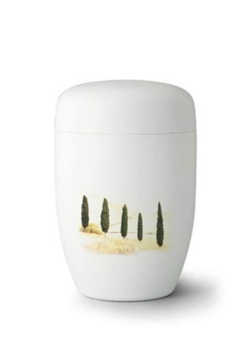 Toscaans landschap wit - staal