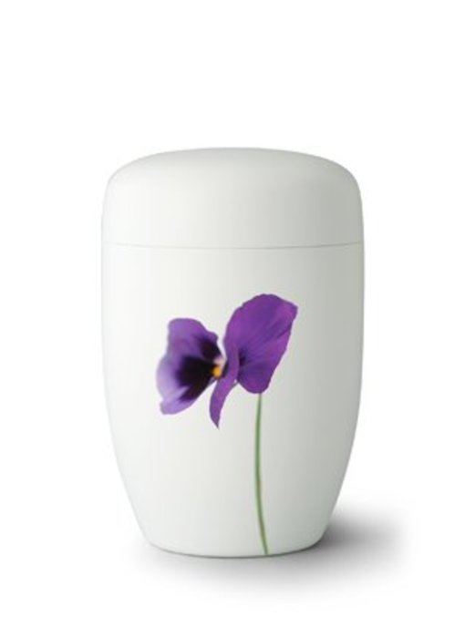 Lente viooltjes wit - staal