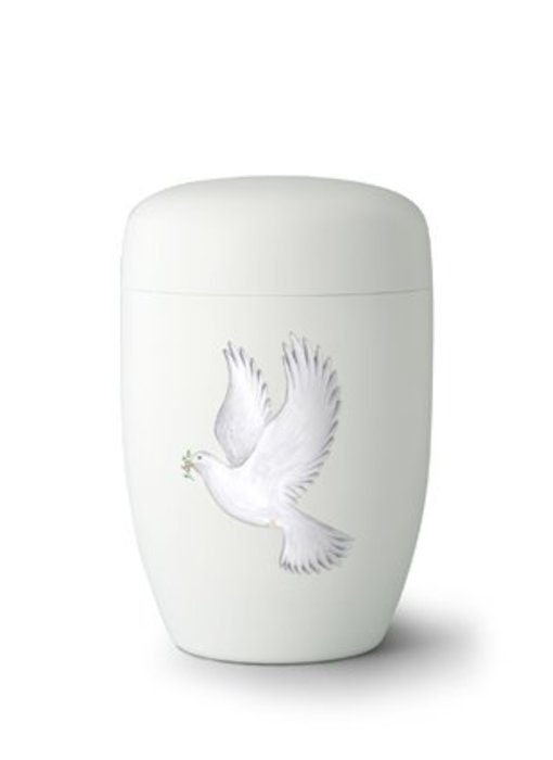 Witte duif wit - staal