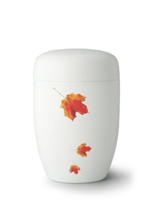 Indian summer wit - staal