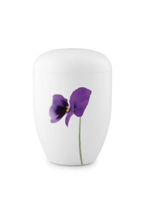 Eco urn wit viooltjes - bio