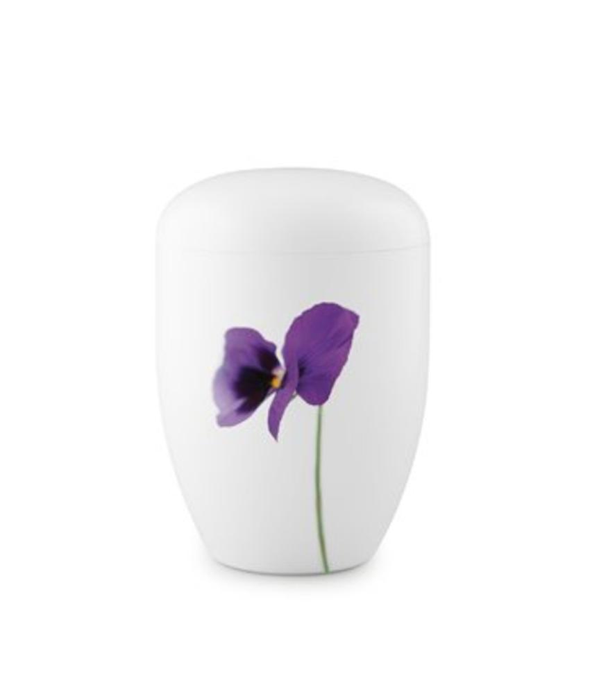 Eco urn wit viooltjes - bio