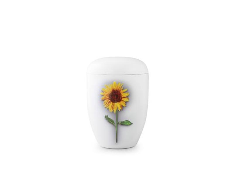 Eco urn wit zonnebloem - bio