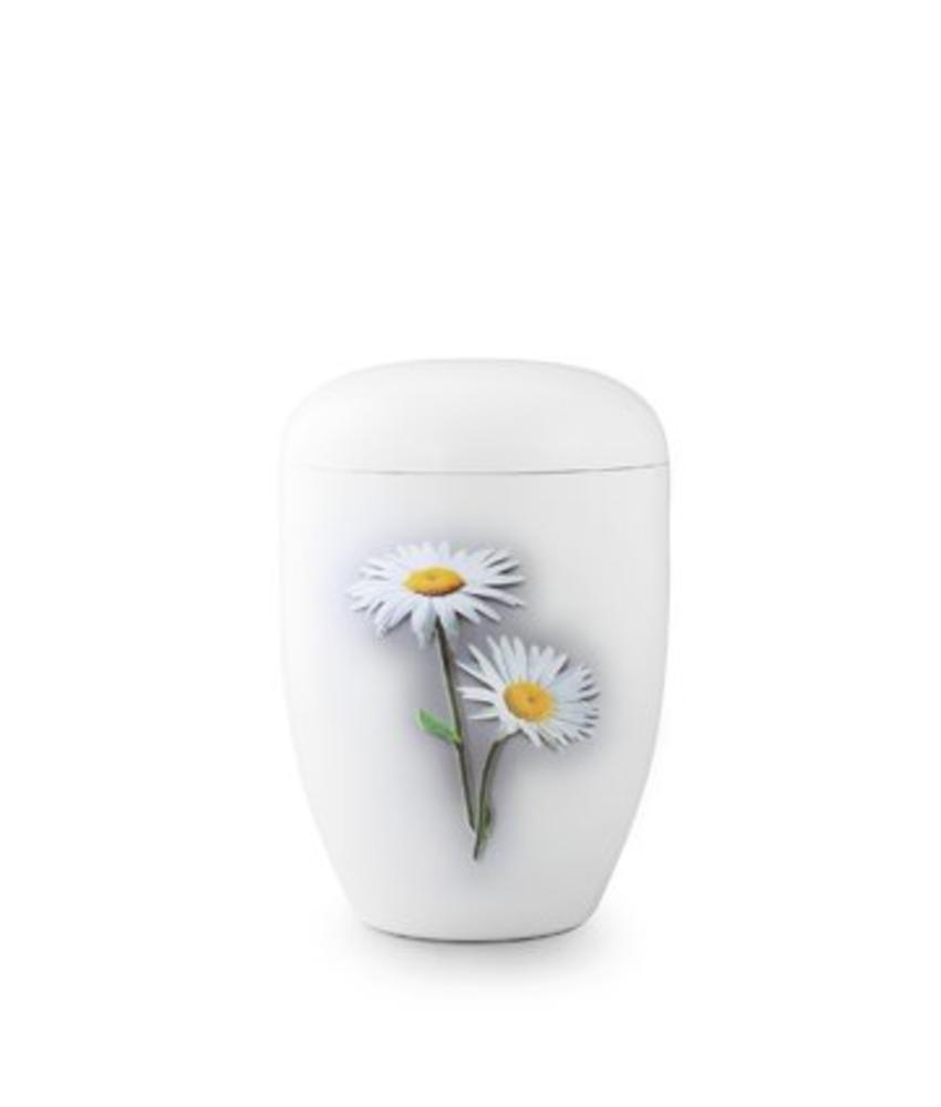 Eco urn wit madelief - bio