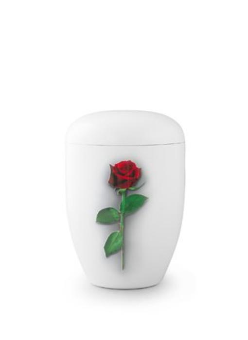 Eco urn wit met rode roos - bio