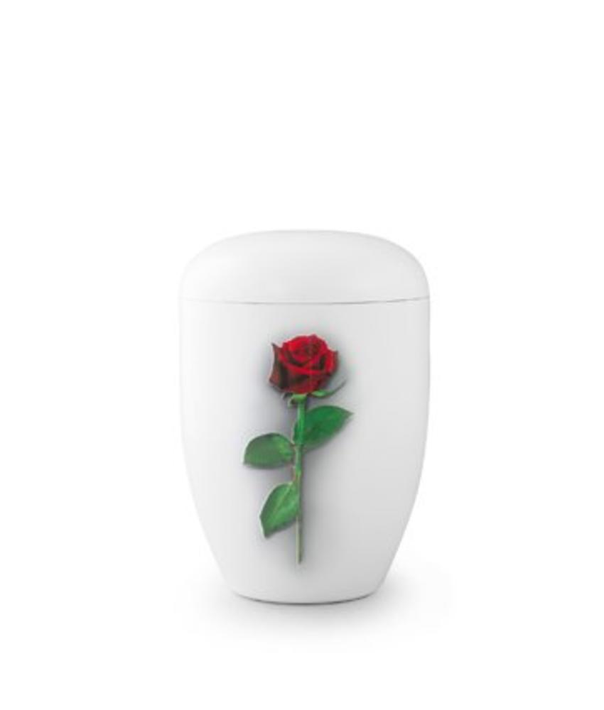 Eco urn wit met rode roos - bio