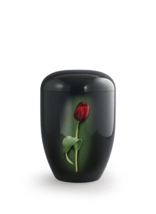 Eco urn zwart met rode tulp - bio