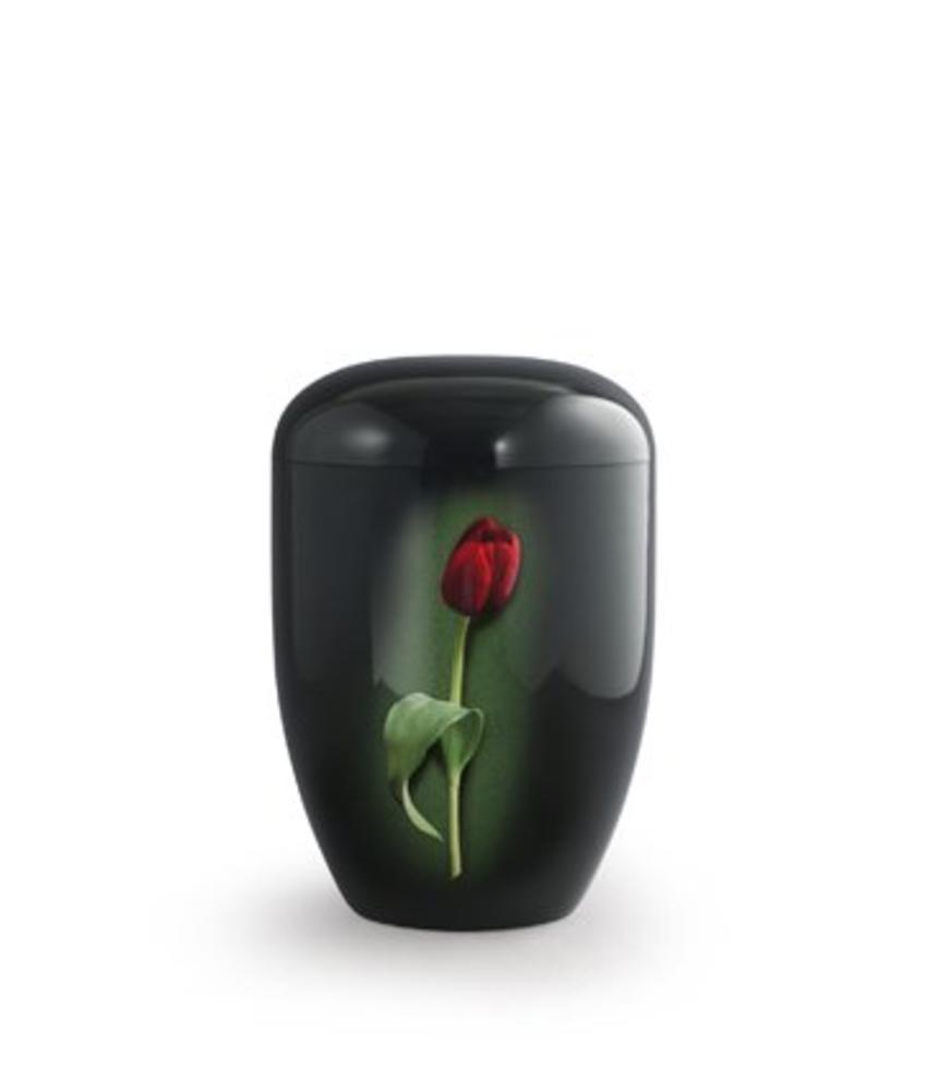 Eco urn zwart met rode tulp - bio