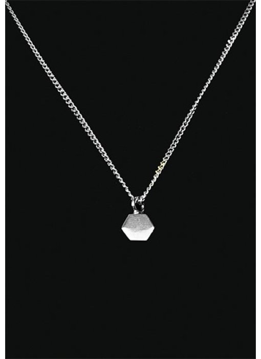 Ascollier zeshoek incl. ketting 50 cm - zilver