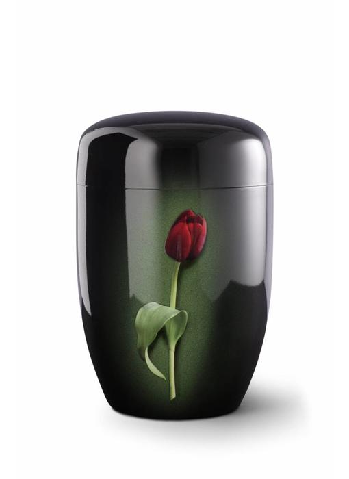 Rode tulp zwart - staal