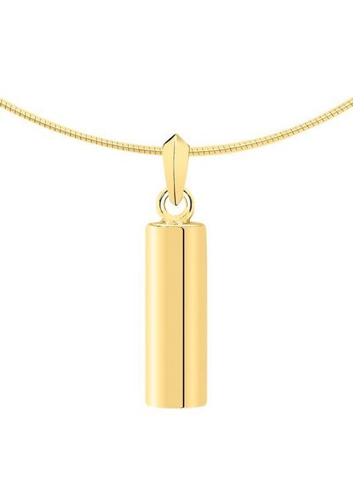 Ashanger asbus - goud