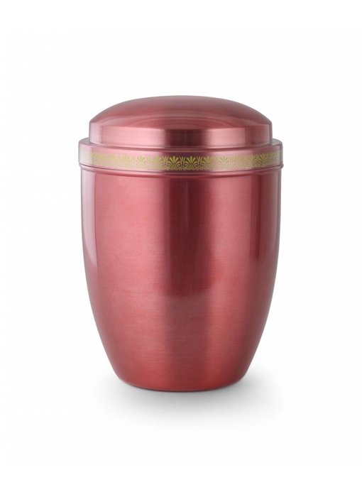 Asbus rose - staal