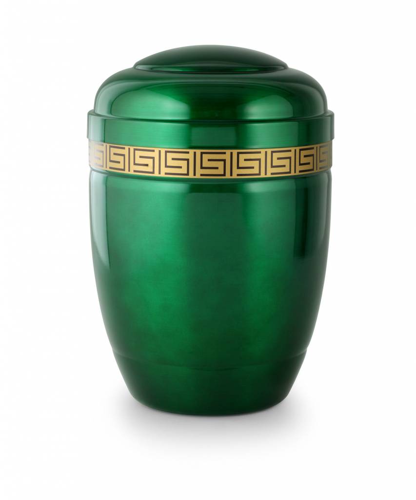  Groene asbus - staal