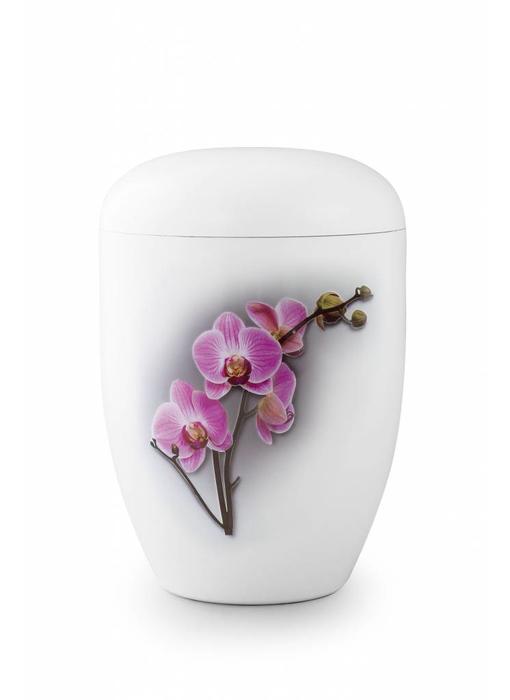 Eco urn wit orchidee - bio