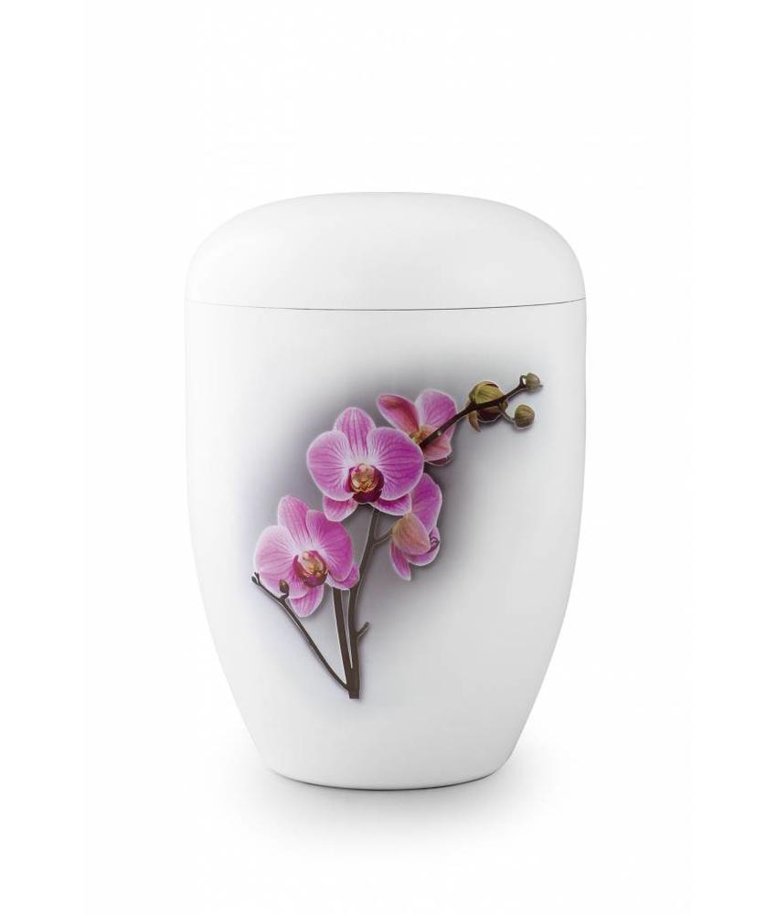 Eco urn wit orchidee - bio