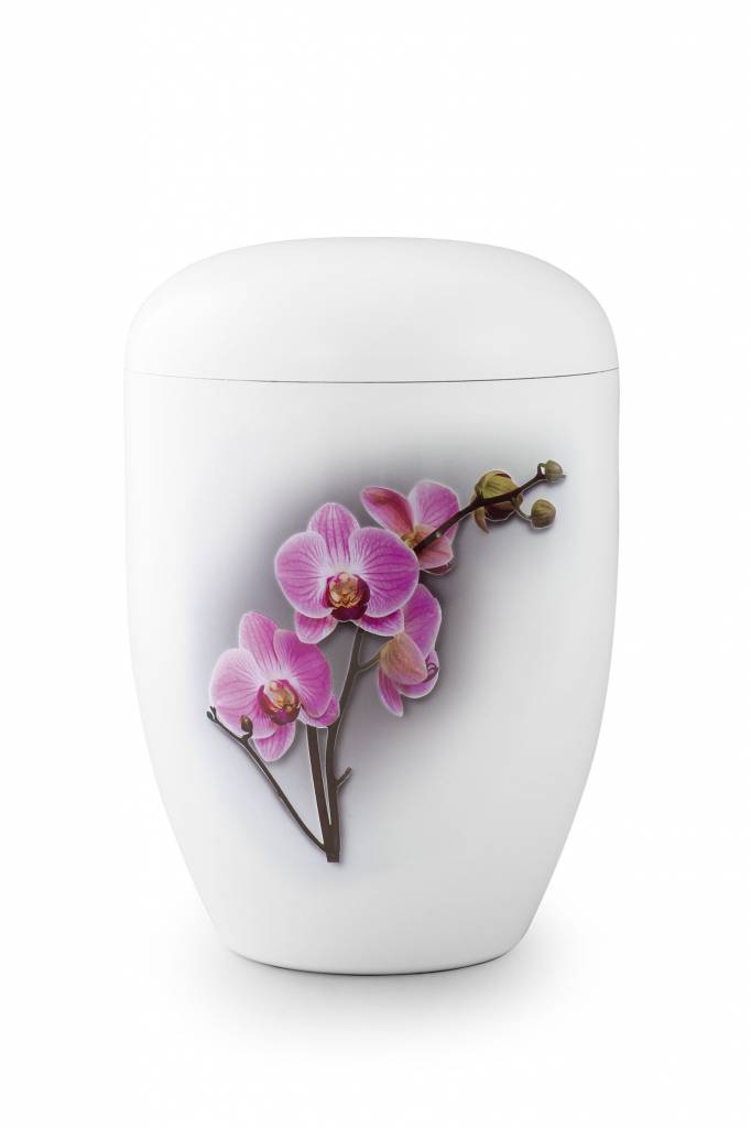  Eco urn wit orchidee - bio