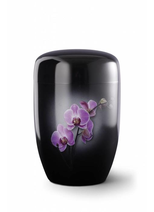 Orchidee zwart - staal