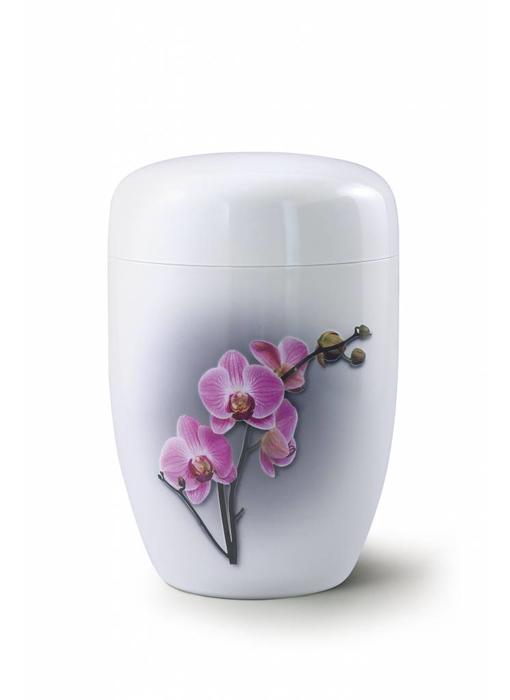 Orchidee wit - staal