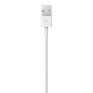 Apple  Lightning naar USB Kabel - 1M - Bulk