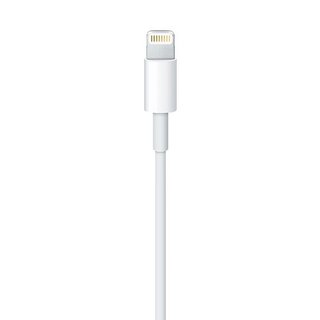 Apple Lightning auf USB Kabel - 1M - Bulk