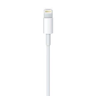 Apple Lightning auf USB Kabel - 2M - Bulk