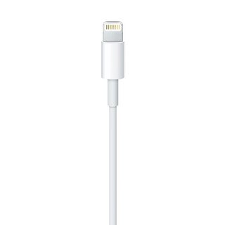 Apple Lightning Naar USB Kabel - 2M - Bulk