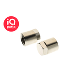 IQ-Parts Verschlussmutter Messing vernickelt, BSP Female